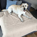 Dog on PaWz Washable Pee Pads 