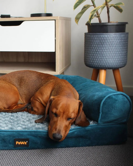 Dog on Premium Pet Sofa Bed 