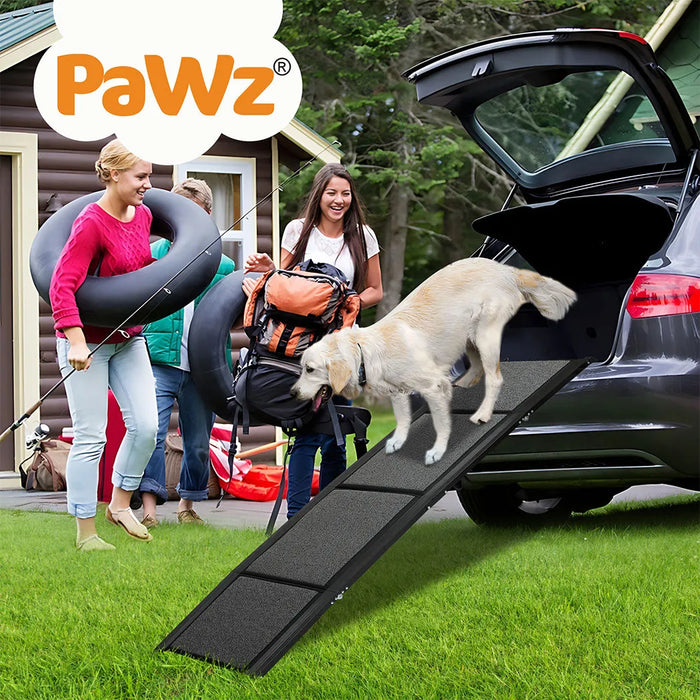 Dog on th Foldable Dog Travel Ramp 