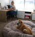 Dog on The Human Size Nap Bed 