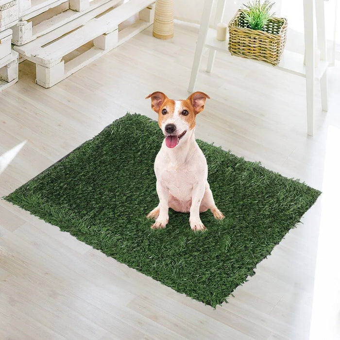 Dog on the PaWz Artificial Grass Mat 