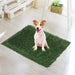 Dog on the PaWz Artificial Grass Mat 