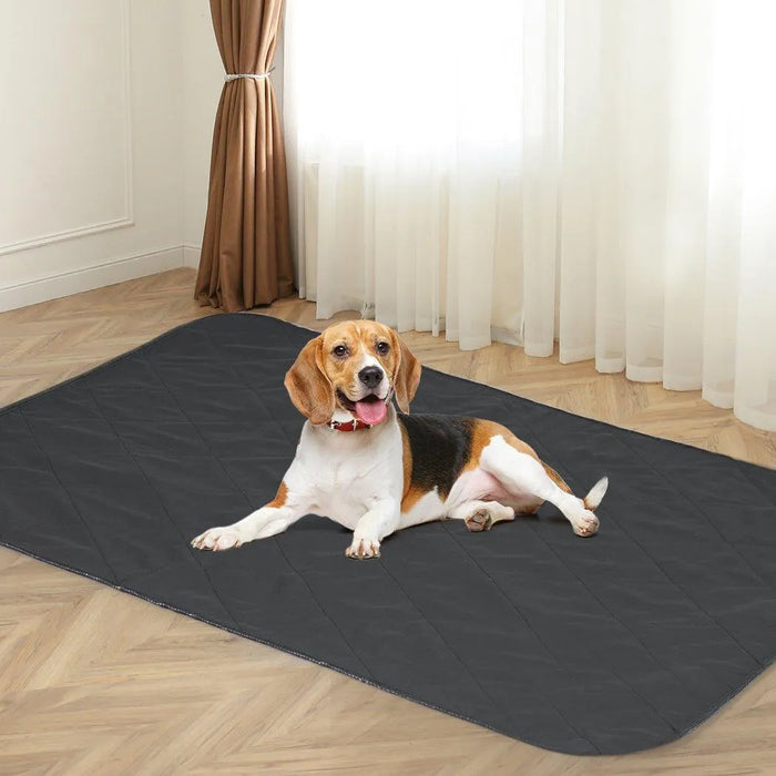 Dog on the PaWz Reusable Puppy Pee pad