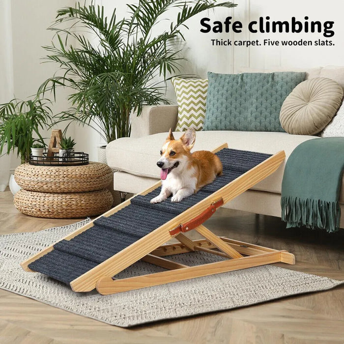 Dog on the Pawz wooden dog ramp