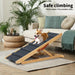 Dog on the Pawz wooden dog ramp