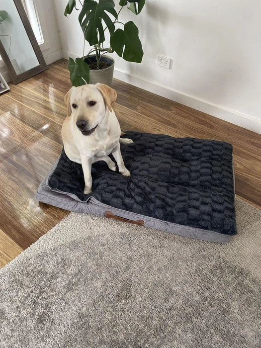 dog on the Pawz Dog Memory Foam Mattress 