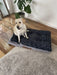 dog on the Pawz Dog Memory Foam Mattress 