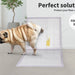 pup pee on the PaWz Disposable Dog Pee Mat