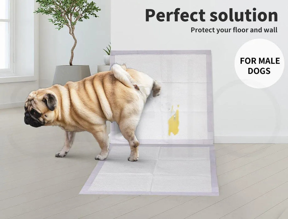 pup pee on the PaWz Disposable Dog Pee Mat