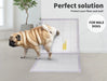 pup pee on the PaWz Disposable Dog Pee Mat