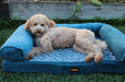 Dog relaxing PaWz Premium Pet Sofa Bed