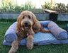 Dog relaxing PaWz Premium dog Sofa Bed
