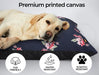 Dog relaxing on PaWz Washable Dog bed 