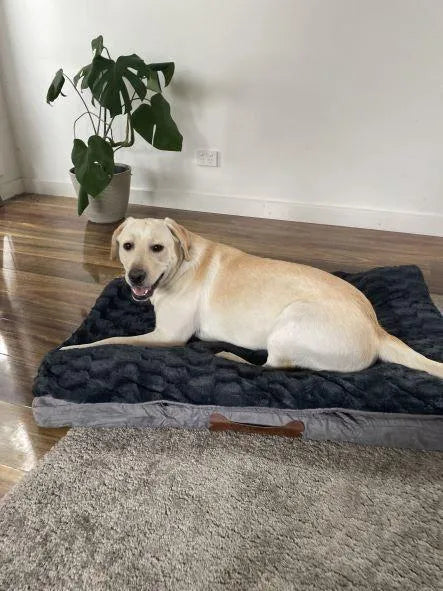 Dog relaxing on Pawz Dog Memory Foam Mattress