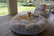 Dog relaxing The Human Size Nap Bed 