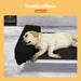 Dog resting on PaWZ Aluminium Dog Bed base