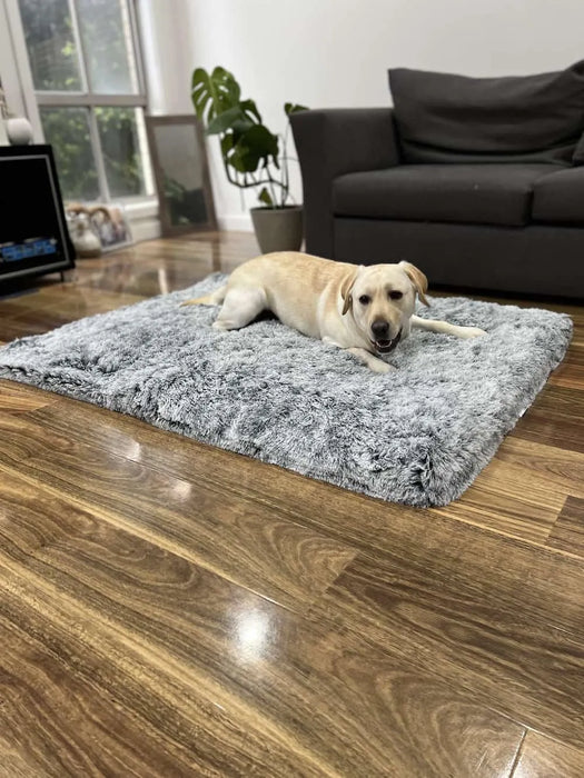 Dog resting on grey memory foam pet mat