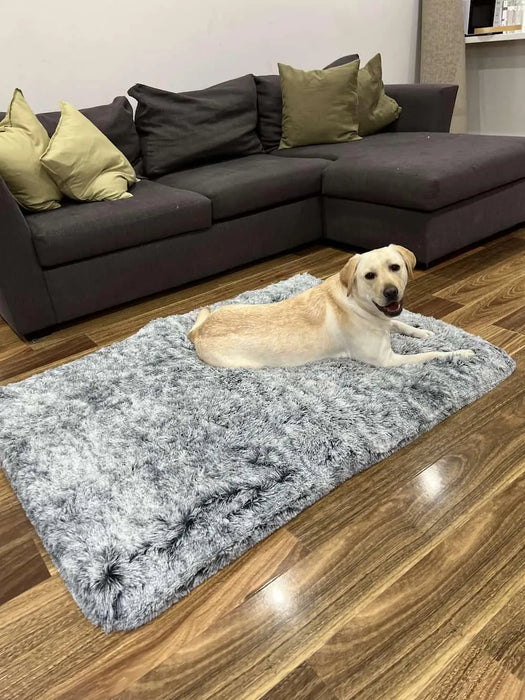 Dog resting on th pawz-memory foam pet mat