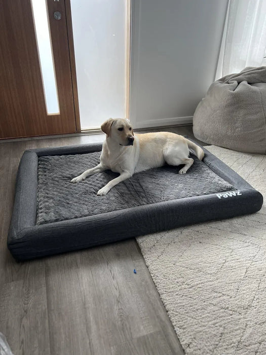 Dog resting on the memory foam pet bed​