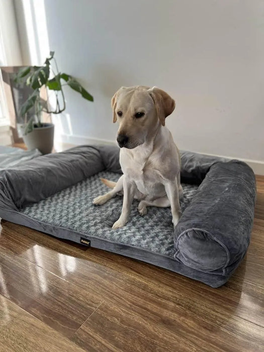 Dog sitting PaWz Premium dog Sofa Bed
