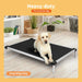 Dog sitting on PaWZ Aluminium Dog Bed base