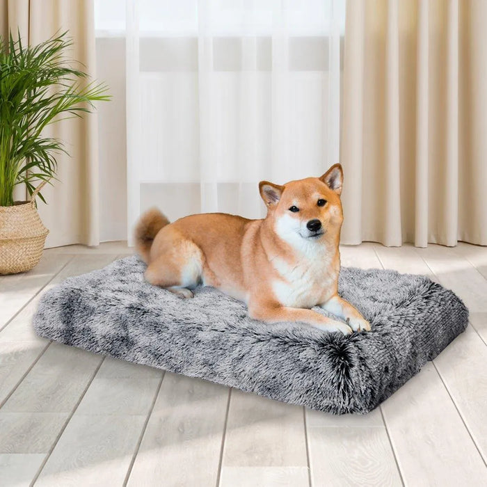 Dog sitting on the memory foam dog mat