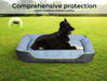 Dog sitting on the summer dog bed