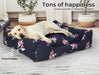 Dog sleeping on PaWz Machine Washable Dog Bed 
