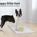 Dog standing on the Dog Toilet Training Pad