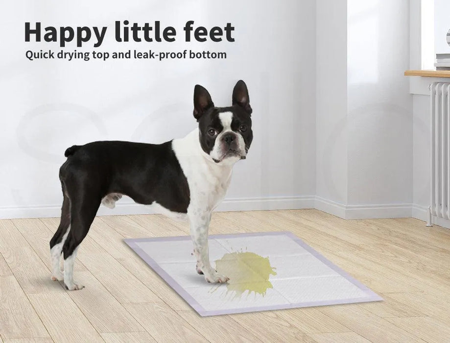 Dog standing on the Dog Toilet Training Pad