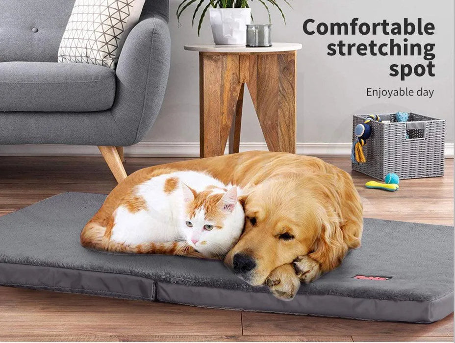 Dog with cat on Pawz fold out Orthopedic pet bed 