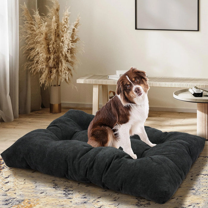 Dog on the PaWz Pet Calming Cushion Dog Bed