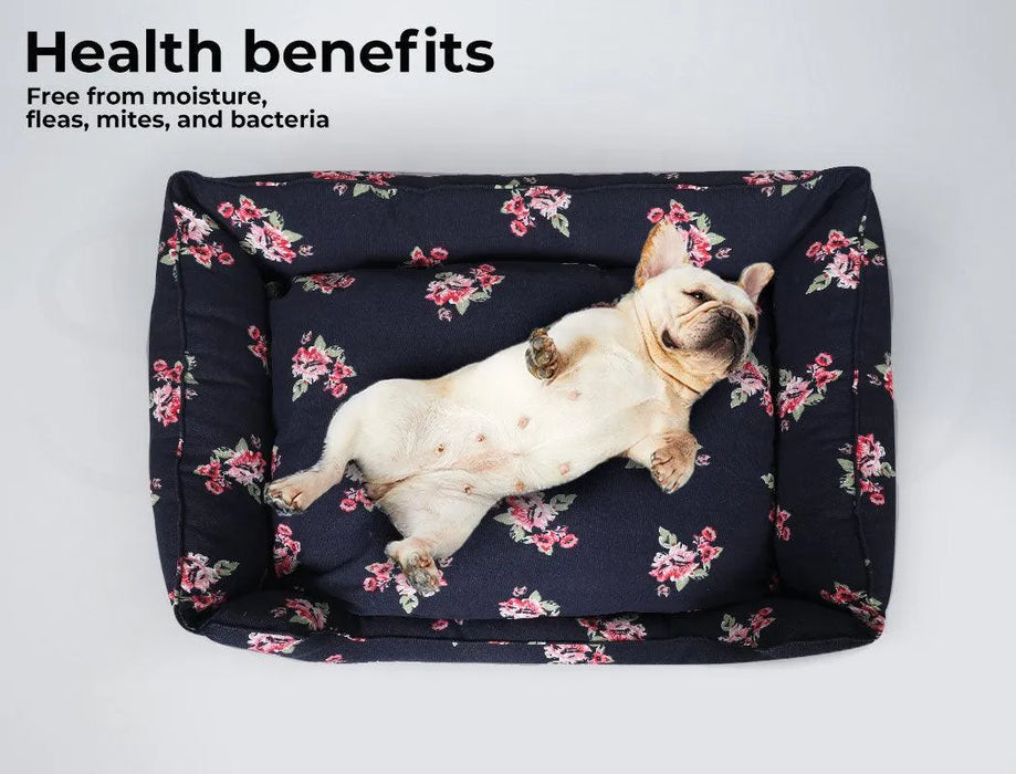 French Bulldog sleeping on PaWz Machine Washable Dog Bed 