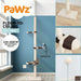 PaWz Cat Scratching Post Tree Play - petpawz.com.au