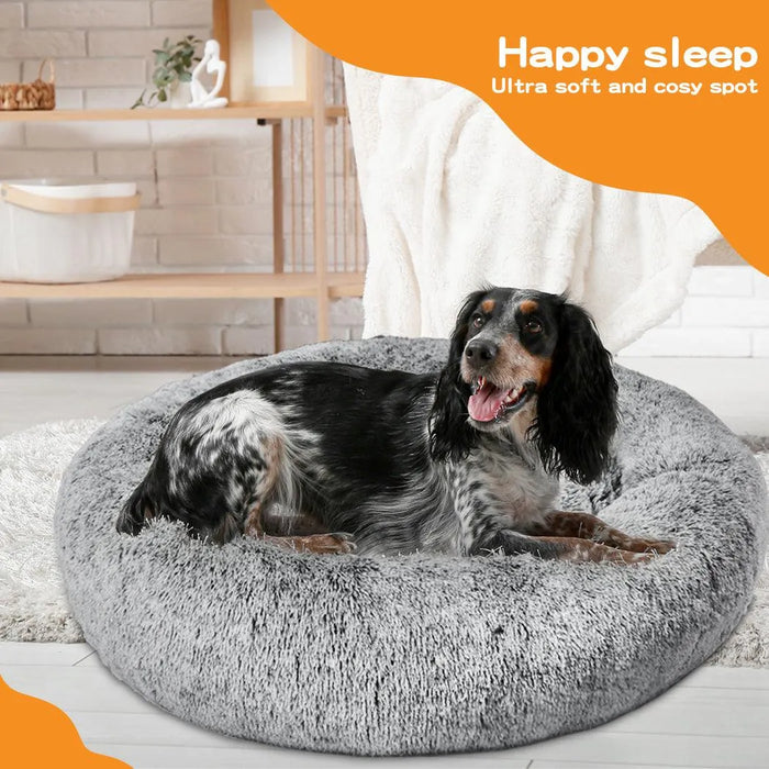Happy dog resting on a soft grey fluffy donut dog bed 