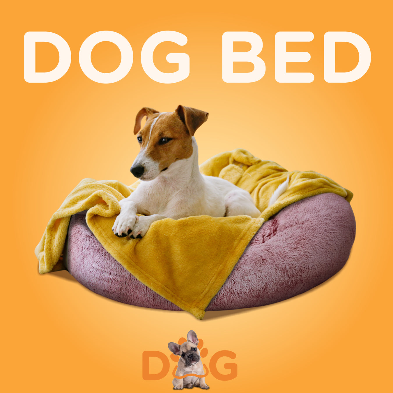 Puppy in the Dog Bed