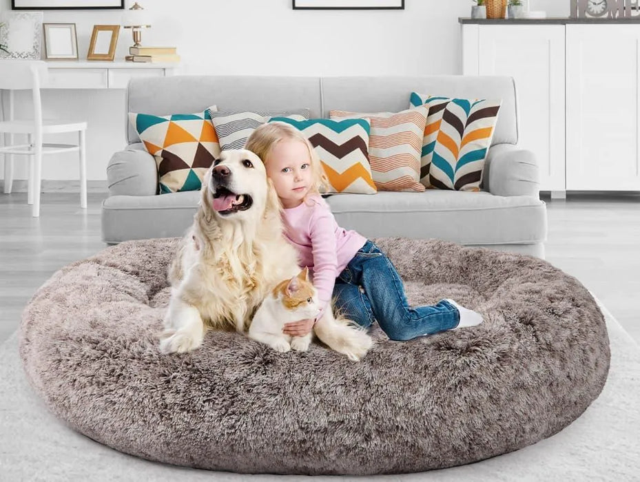 Kid with dog on The Human Size Nap Bed 