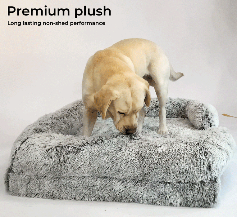Labrador standing PaWz Premium Pet Orthopaedic Bed 