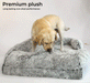 Labrador standing PaWz Premium Pet Orthopaedic Bed 