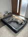 Large Dog resting on th pawz-memory-foam-calming-dog-bed