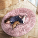 TheNapBed Memory Foam Pet Bed Dog Human Size - petpawz.com.au