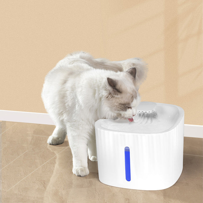 PaWz Automatic Electric Pet Water Fountain Dog Cats Drinking Dispenser Filter 3L - petpawz.com.au