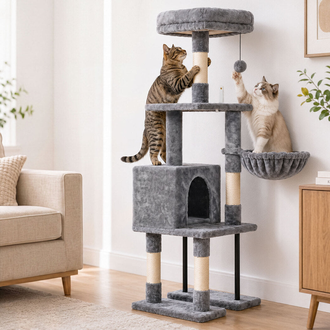 More Fun for Cats to Climb and Scratch