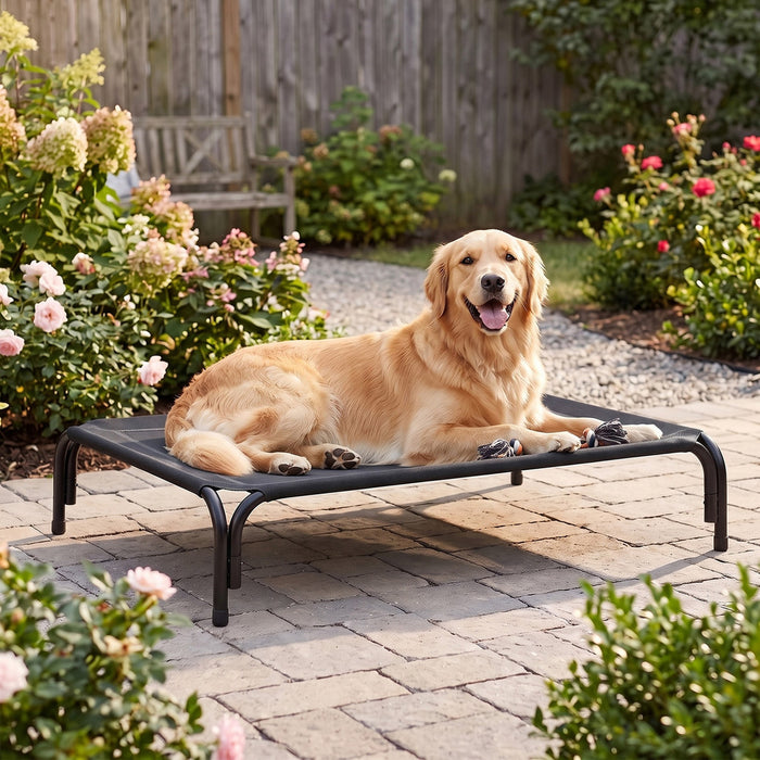 Raised Dog Bed Elevated Cooling Breathable Mesh for Indoor Outdoor Black