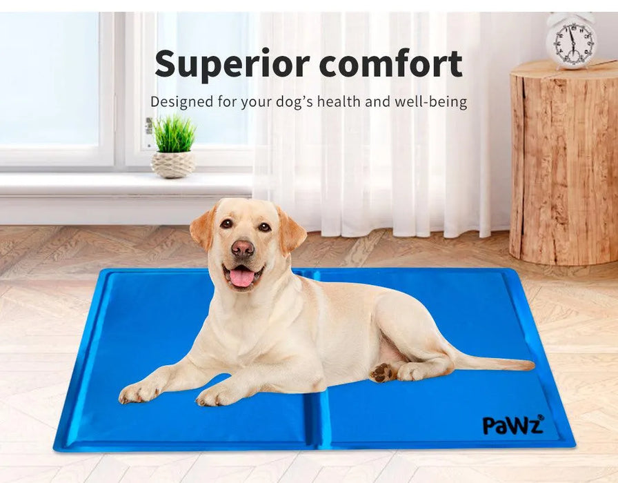 Medium size Dog sitting on canine cooling mat​