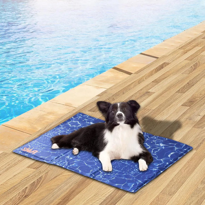 Medium size dog sitting on pet mat cooling​