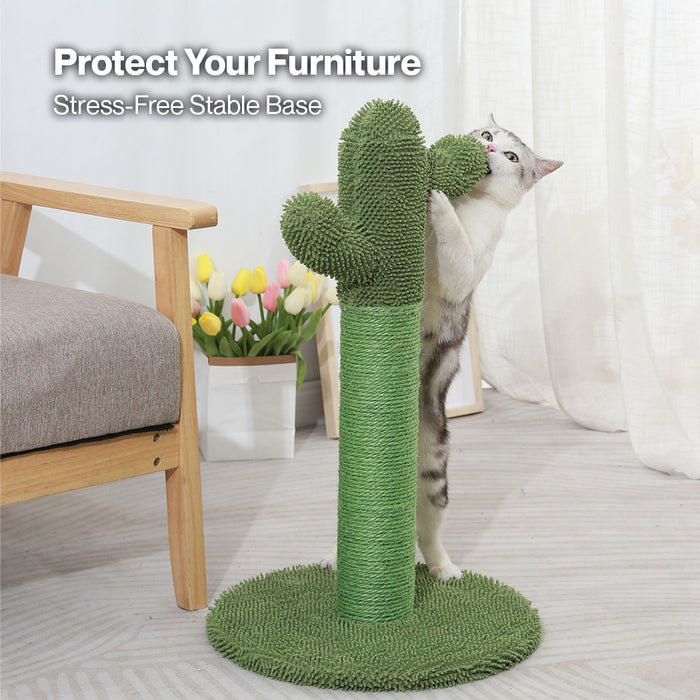Cat Scratcher Post Cactus