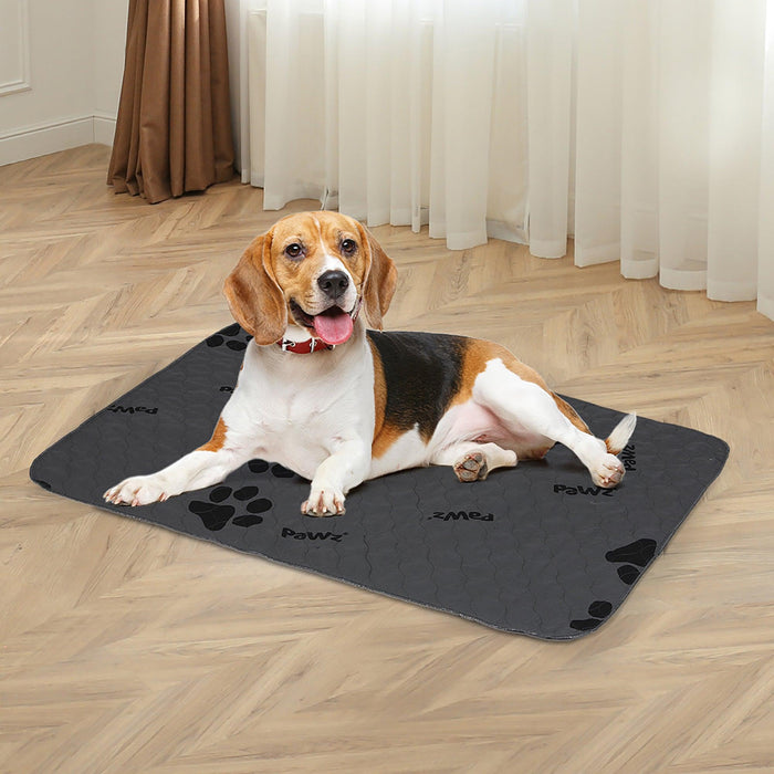 PaWz Washable Resuable Dog Puppy Training Pad