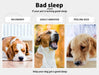 PaWz Comfy Soft Snuggle Dog Bed helps in Dog sleeping 