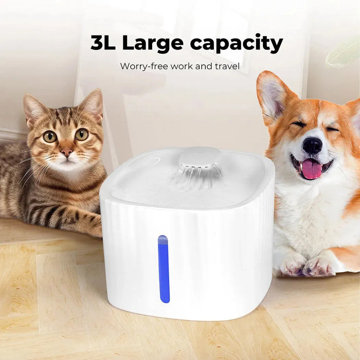 Cat Drinking from PaWz Dog & Cat Water Fountain 3L